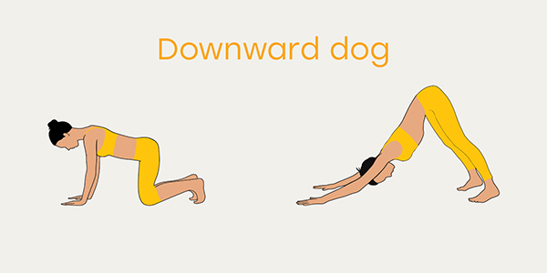 downward dog